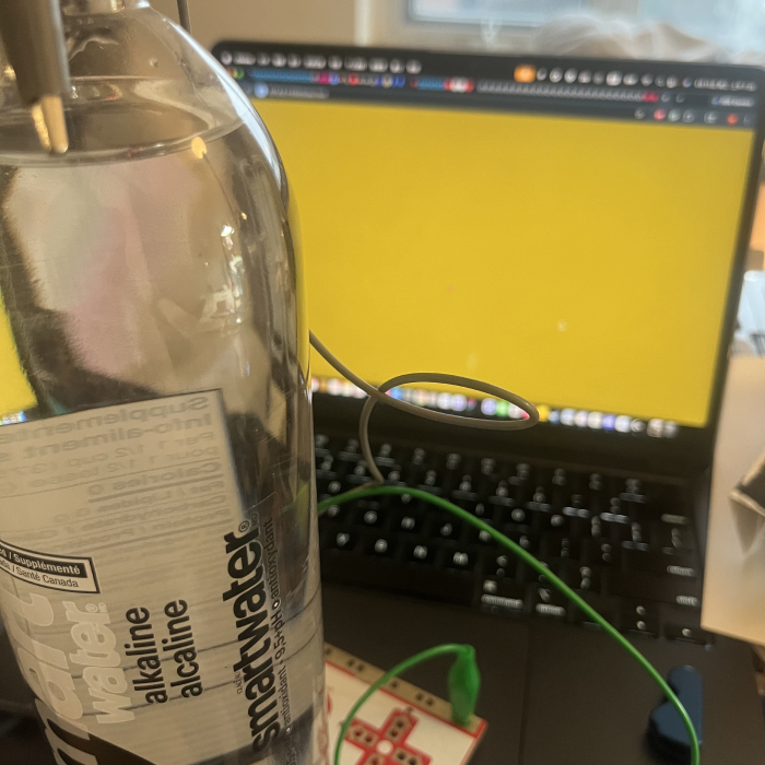 Setting up the water test