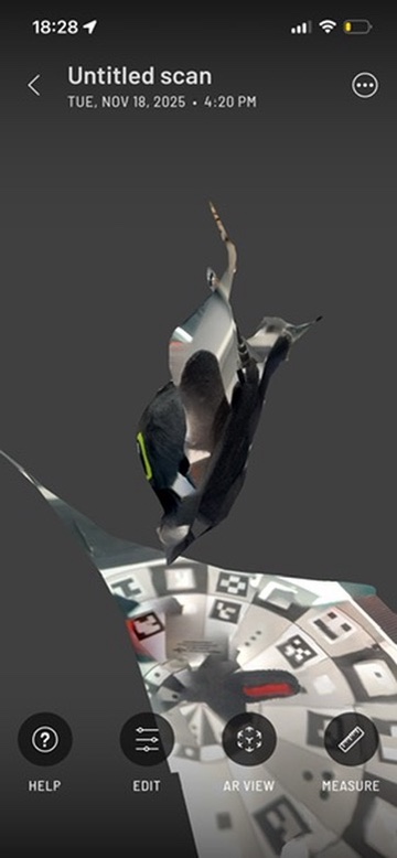 Failed scan object: Rear view of black plush toy