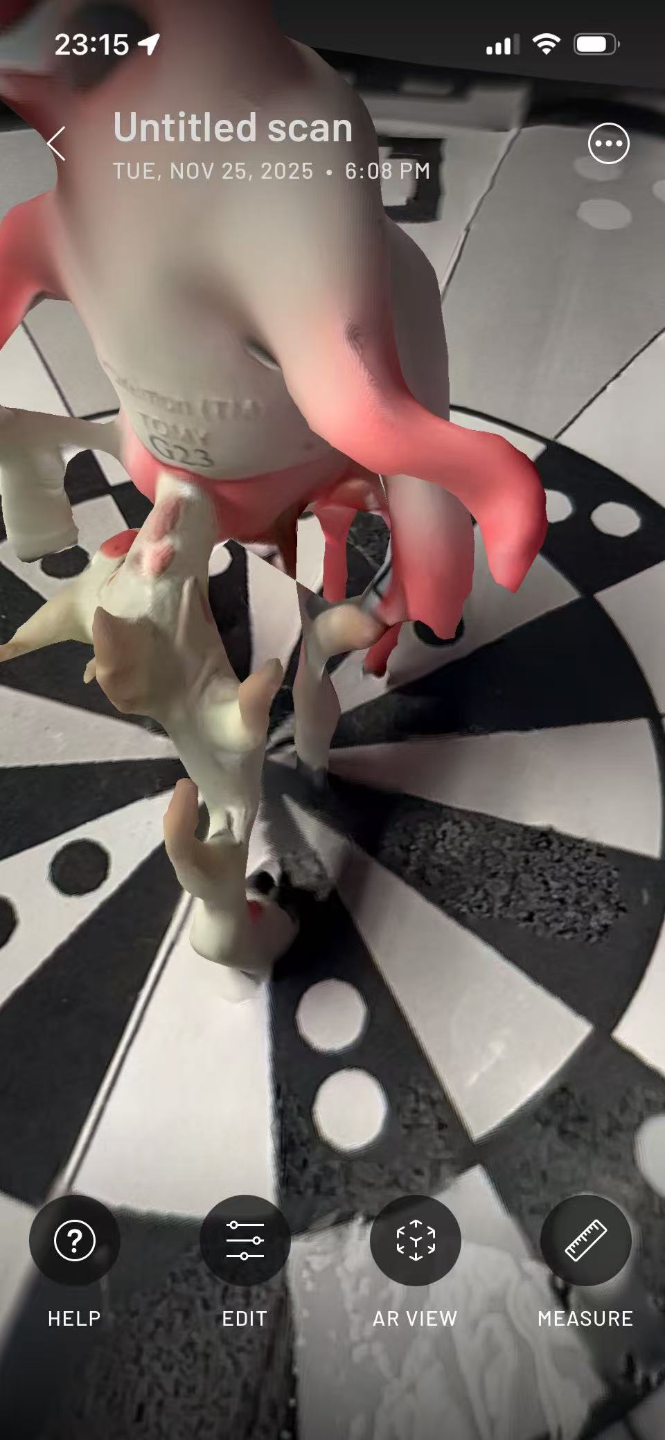 Object successfully scanned: Deck box perspective 2